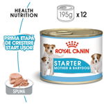 Royal Canin Starter Mouse gestatie/ lactatie pui hrana umeda caine, 195 g