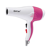 Uscator par Gemei GM 1702, GAVE