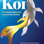 Koi: A Complete Guide to Their Care and Color Varieties