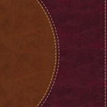 Amplified Reading Bible, Imitation Leather, Brown, Indexed: A Paragraph-Style Amplified Bible for a Smoother Reading Experience, Paperback - Zondervan